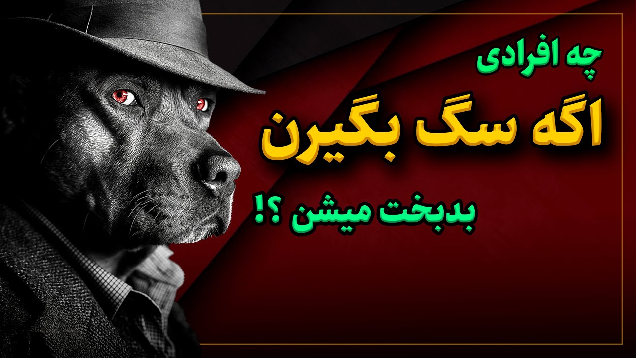 چه افرادی اصلا نباید سگ بگیرن ؟؟ 😬 I اگه سگ بگیرن پشیمون میشن 😕