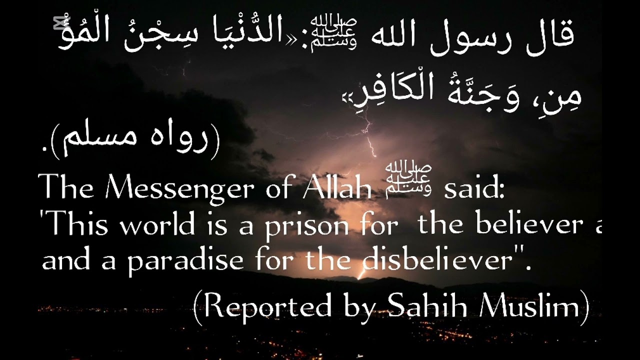 &ldquo;The Prophet ﷺ said: The World is a Prison for the Believer | Sahih Muslim&rdquo;