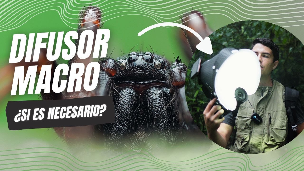 Difusor para MACRO fotografía? Realmente mejoran las fotos? Ak Diffuser