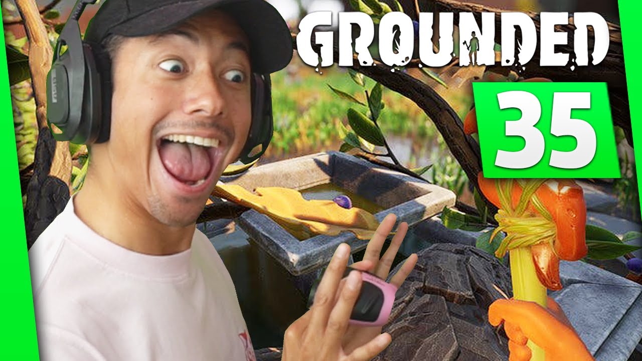 UN SCARAB&Eacute;E AFFRONTE MON REGARD ► GROUNDED #35