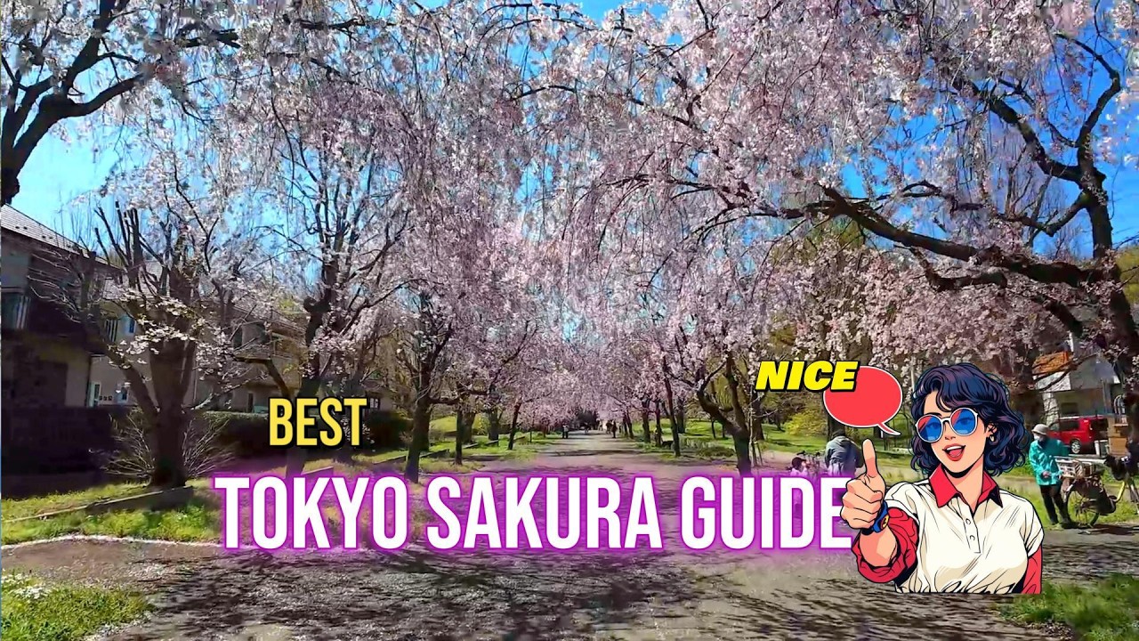 Sakura Guide: Get Ready for the Season!! 🌸 (Tokyo Tour).