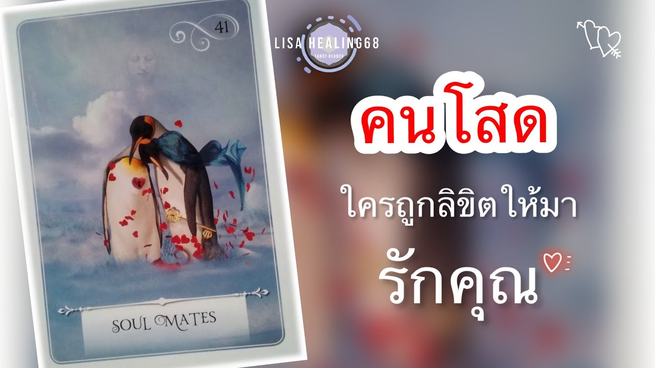 Pick a card💕Ep.251 | คนโสด❤️ใครถูกลิขิตให้มารักคุณ❤️‍🔥Timeless✨