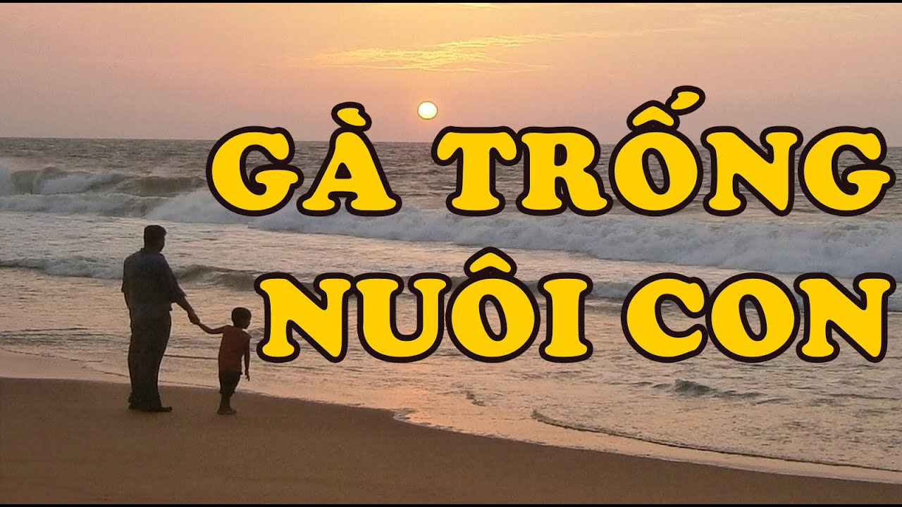 Hồi Ký Miền Nam | Gà Trống Nuôi Con (Phan Nhật Bắc)