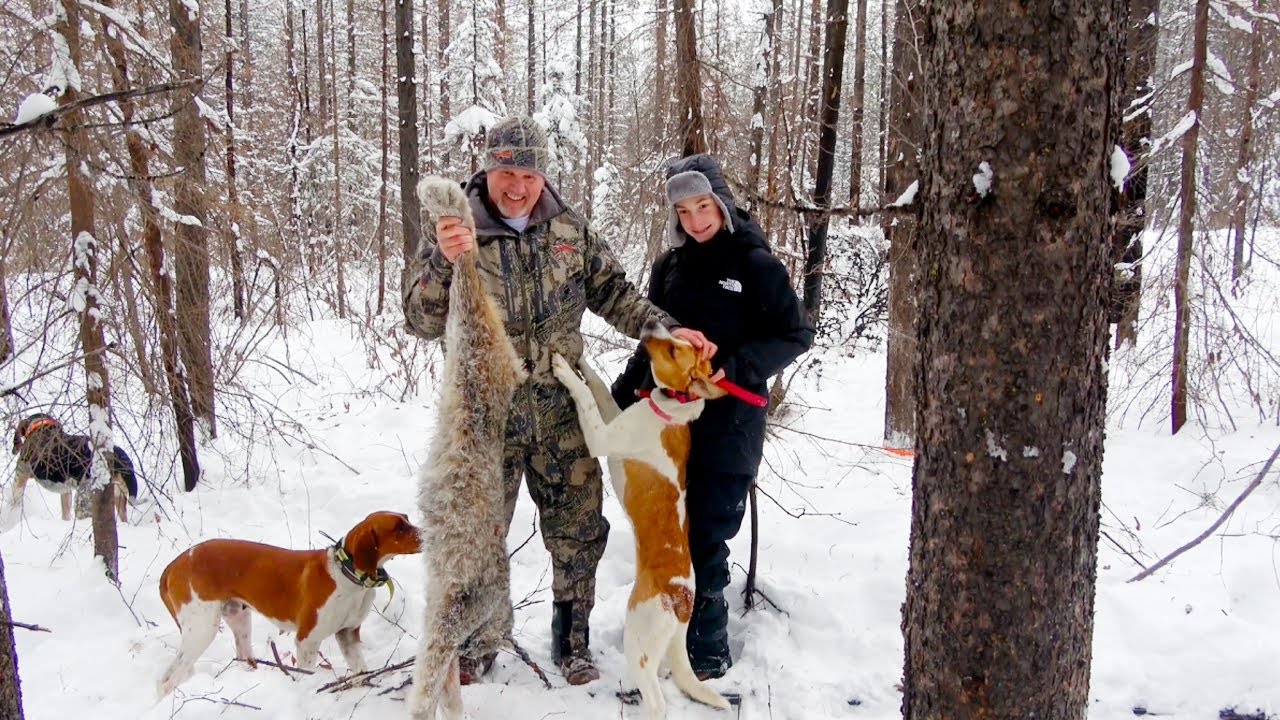FATHER and SON Canadian Lynx Hunt!