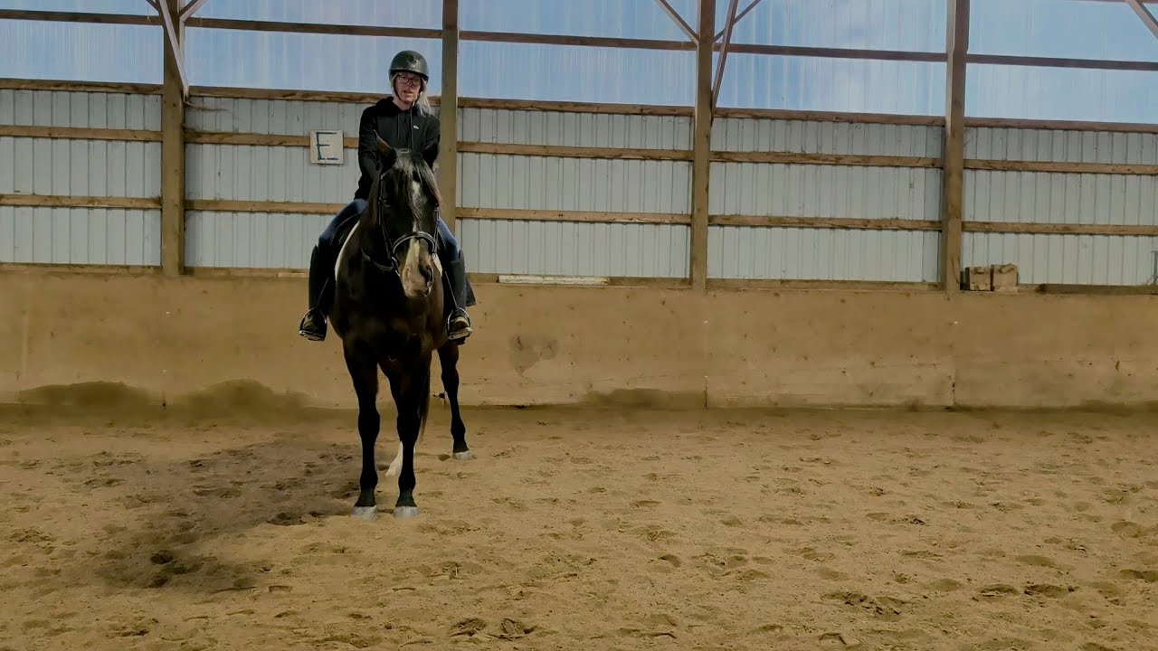 Approaching things differently: Is my horse lacking confidence? (Part 1 of 4)