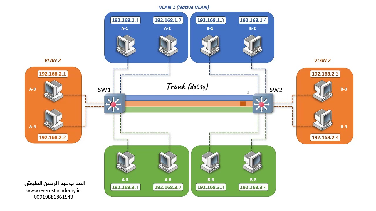 Native Vlan Animation