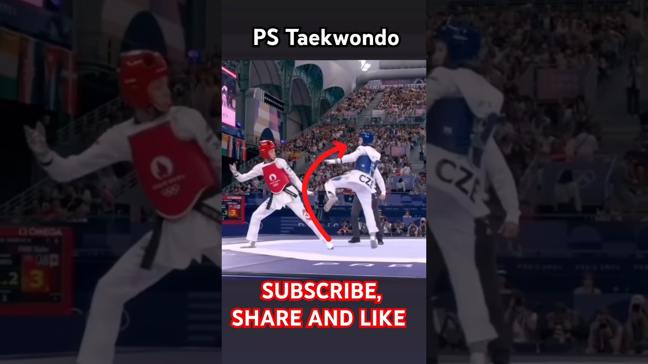 Technique of taekwondo fight 🥋