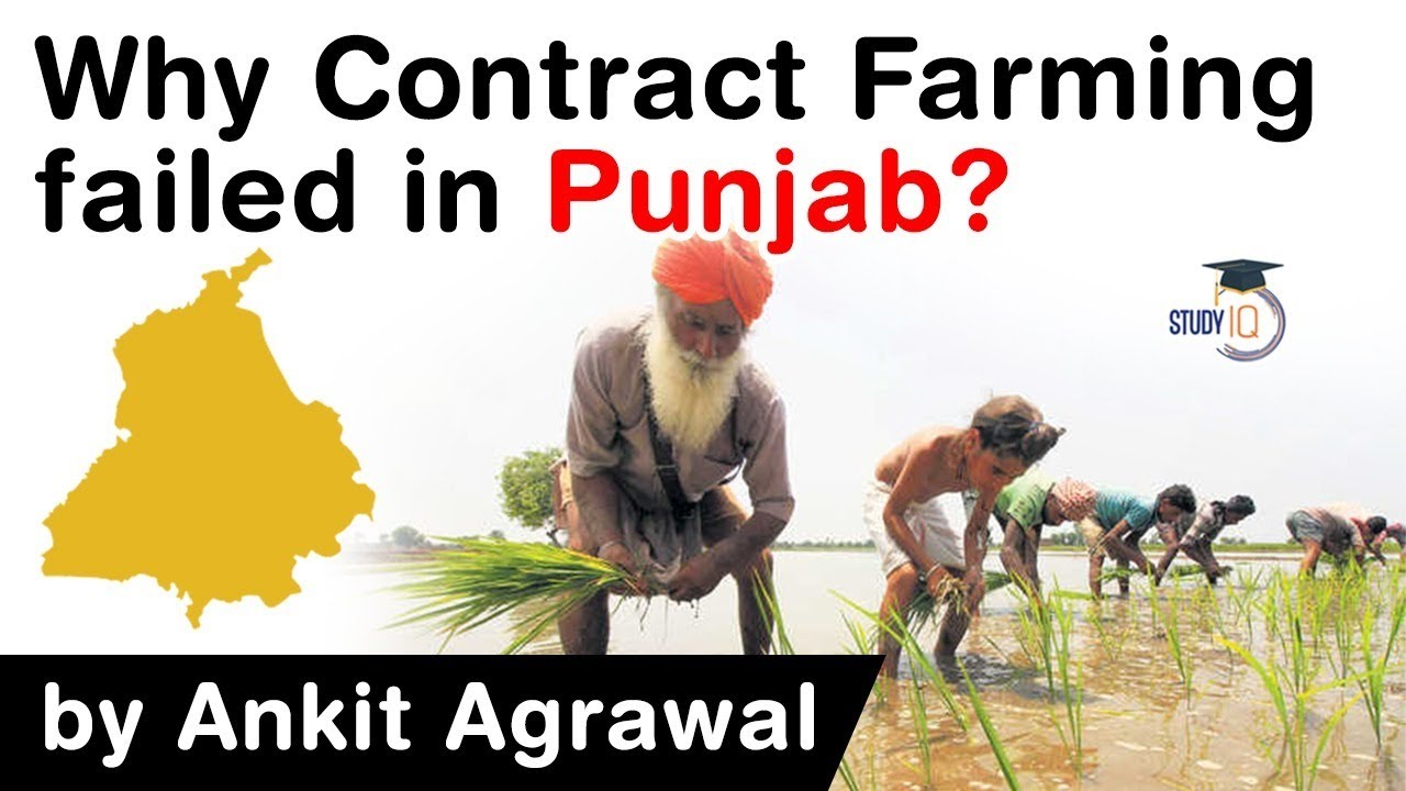 What is Contract Farming? What are the reasons behind Contract Farming's failure in Punjab? #UPSC