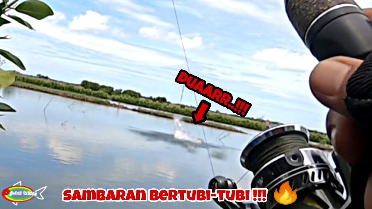 JANGAN DITONTON BIKIN NYESEK❗😤 Mancing Kakap Putih Besar || Ultralight Casting