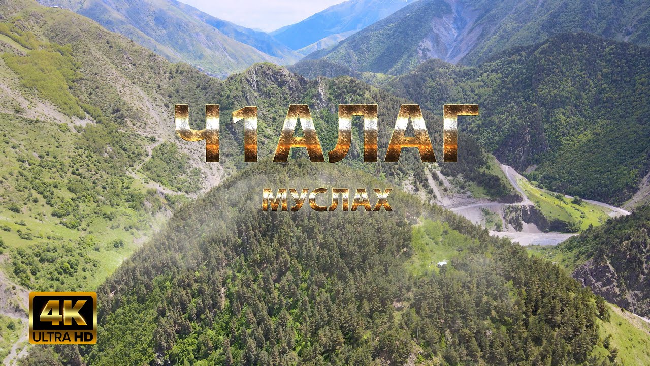 Ч1алаг Муслах