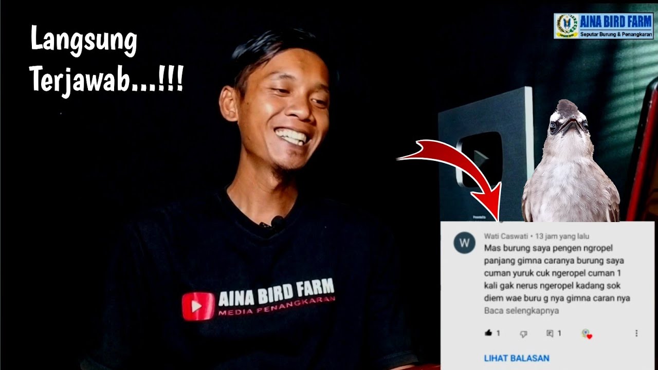 Mas Burung TRUCUK Saya Pingin Ngropel Panjang Gimana Caranya ya??ini jawabanya