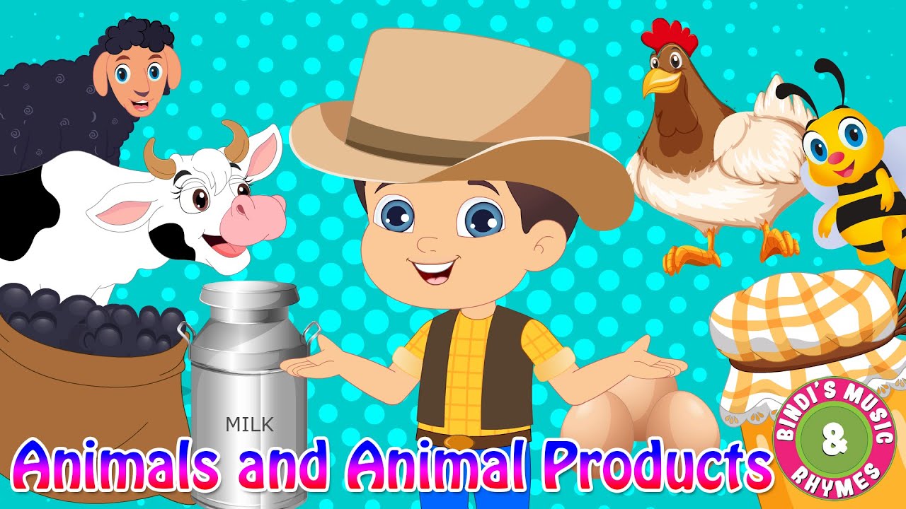 Animals & Animal Products | Educational Rhymes | Bindi's Music & Rhymes
