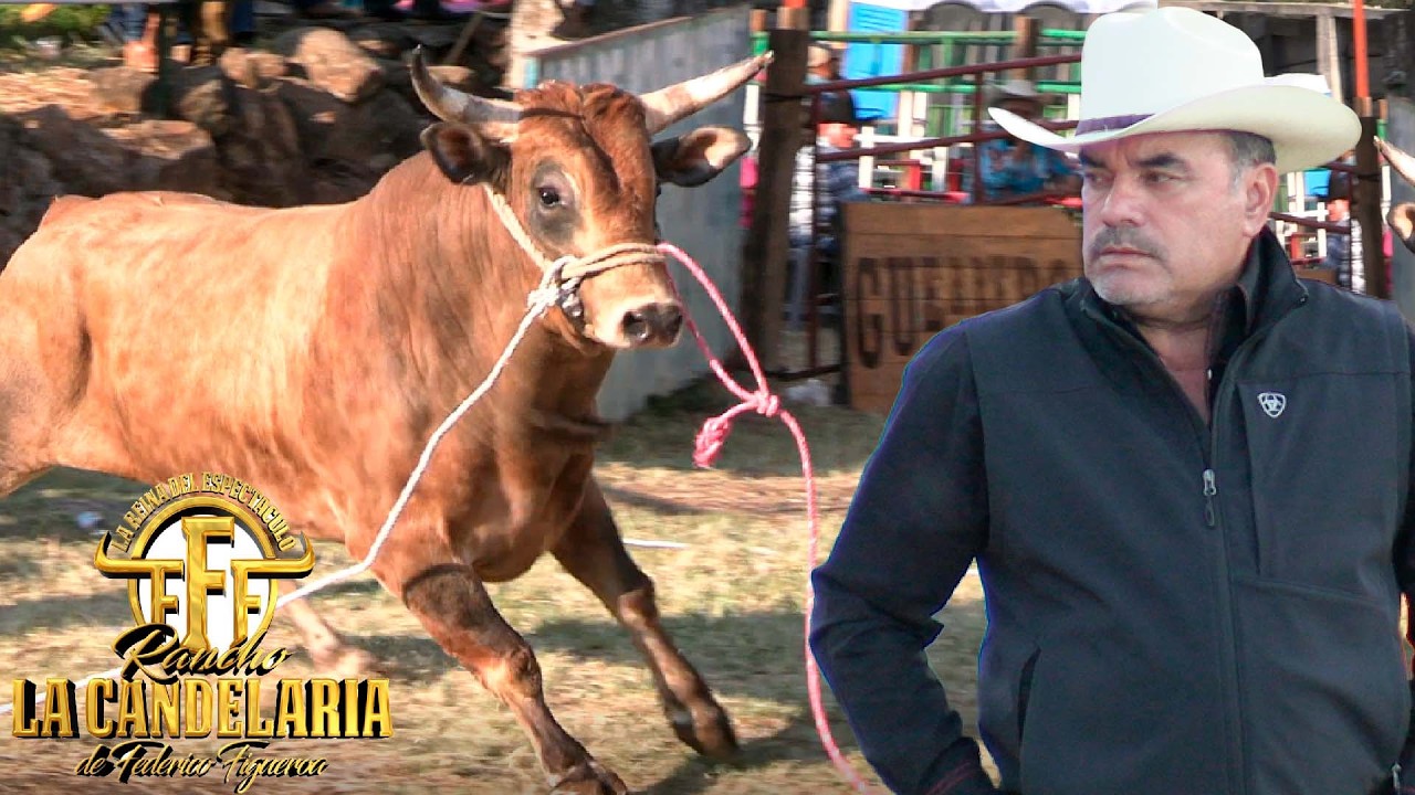 !! SOLO UNA QUEDA UBO 😱RANCHO LA CANDELARIA DE FEDERICO FIGUERO - JARIPEO EN POTRERILLOS MICH 2025