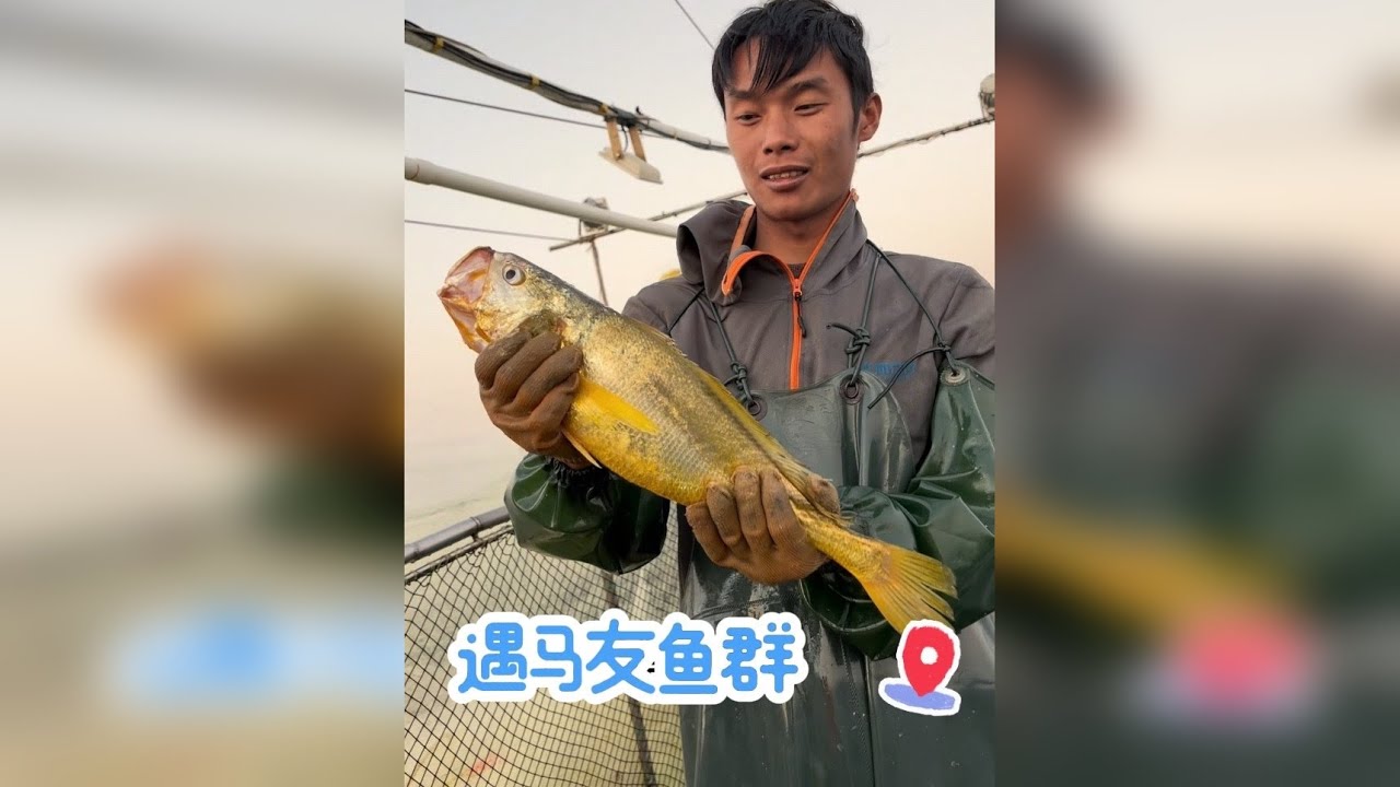 太惊喜了马友鱼直接一网连上几条啊 ，最后黄花鱼也能爆框