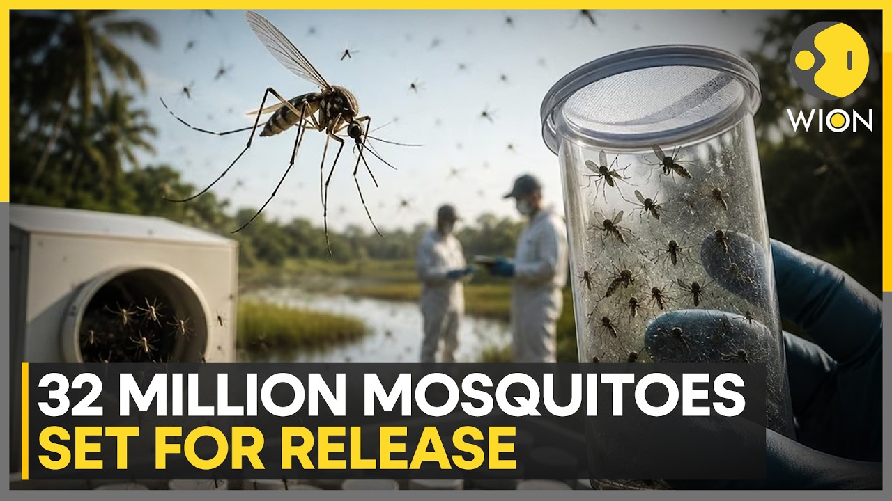 Google's Plans To Release 32 Million Mosquito Army | WION