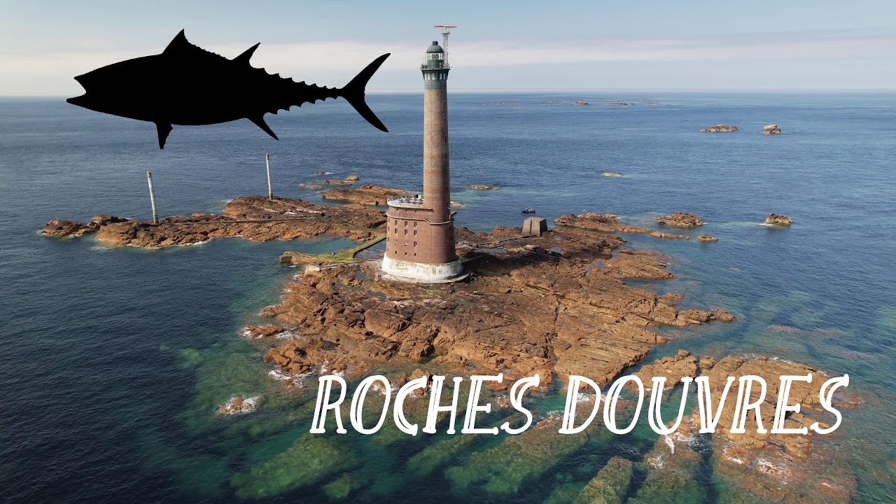 Journée Aux Roches, 10 aout 2023, bluefin tuna frenzy