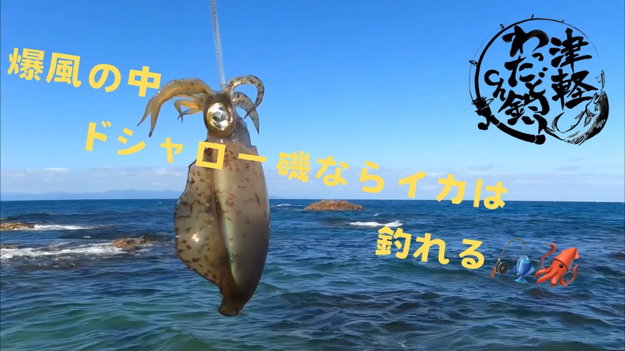 爆風の中のドシャローアオリング🦑一度入った場所でも時間をあければ新しいイカは入ってるんです！(後編)