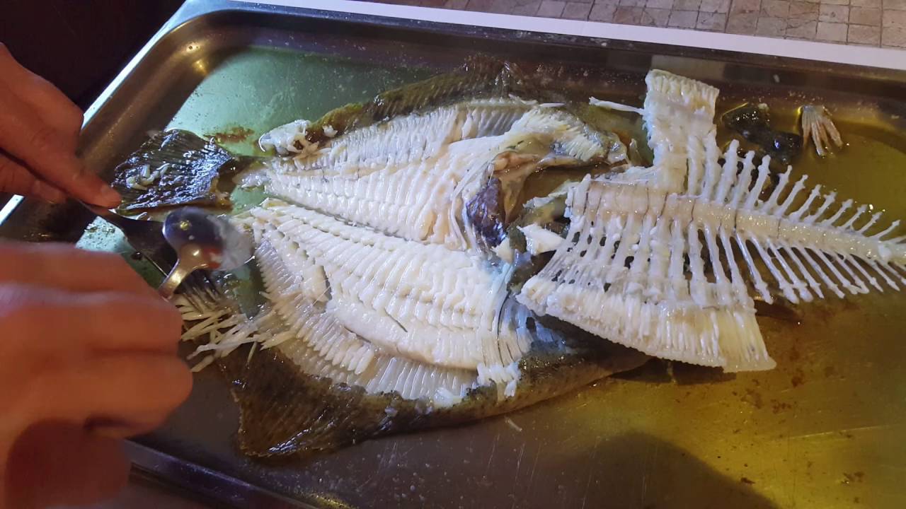 Como limpiar un rodaballo