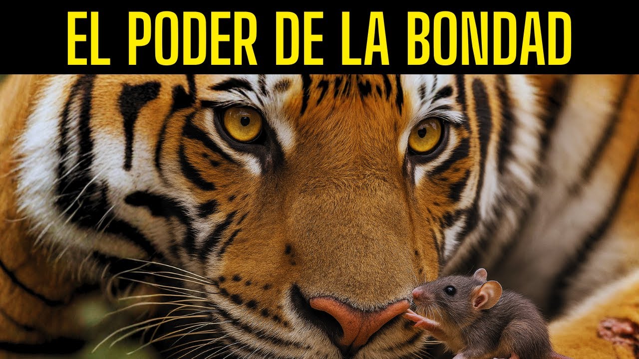 El Ratón que Salvó al Tigre  Una Historia sobre el Verdadero Poder