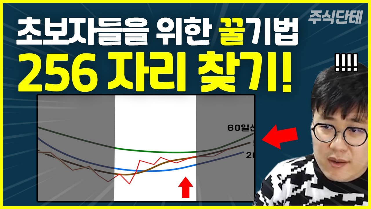 주식 차트분석만 15년 했더니 이런 기법이! 초보자를 위한 꿀기법 공유! #주식단테 (256기법)