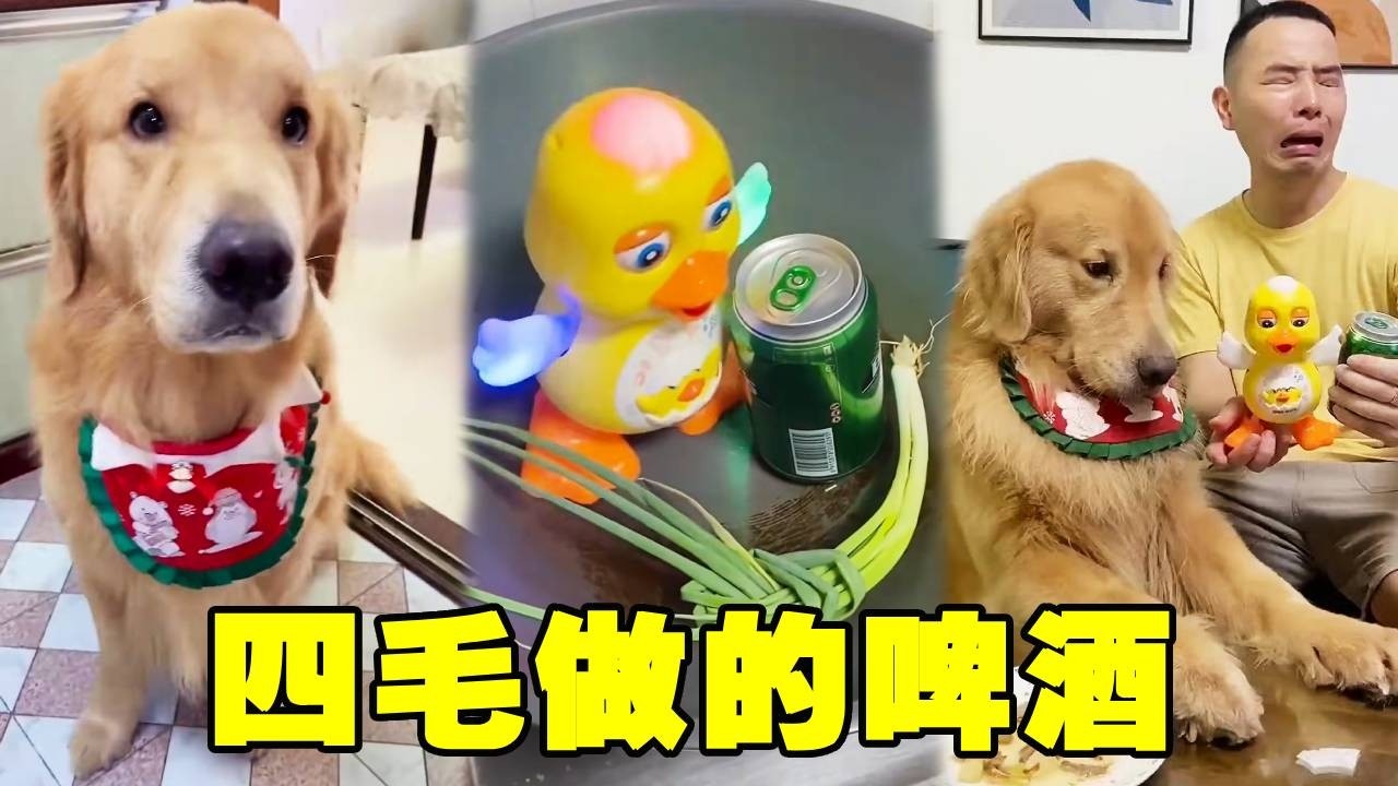 毛爸想吃啤酒鴨讓四毛來做，不料對方竟然做了這個！毛爸看到直接兩眼一黑！【起错名的四毛】