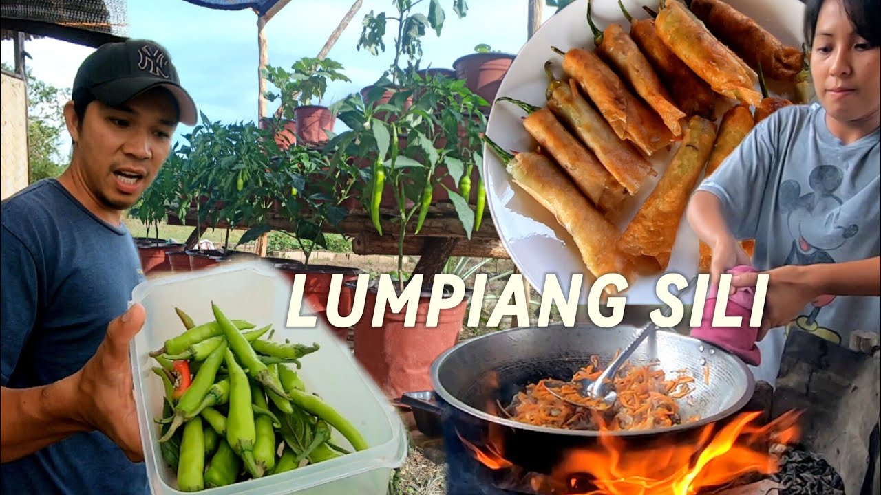 Ep.660- Fresh Lumpiang sili mula sa paso | buhay probinsya