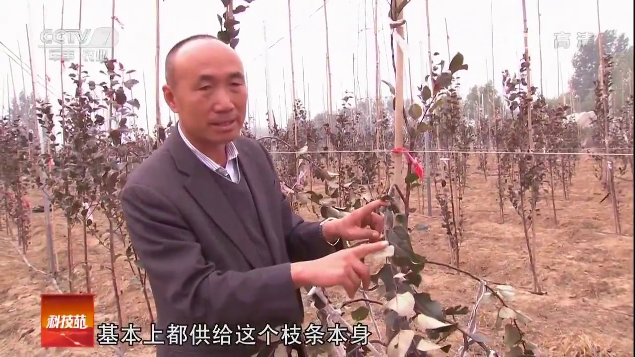 20170112 科技苑  三年就丰产的红肉苹果