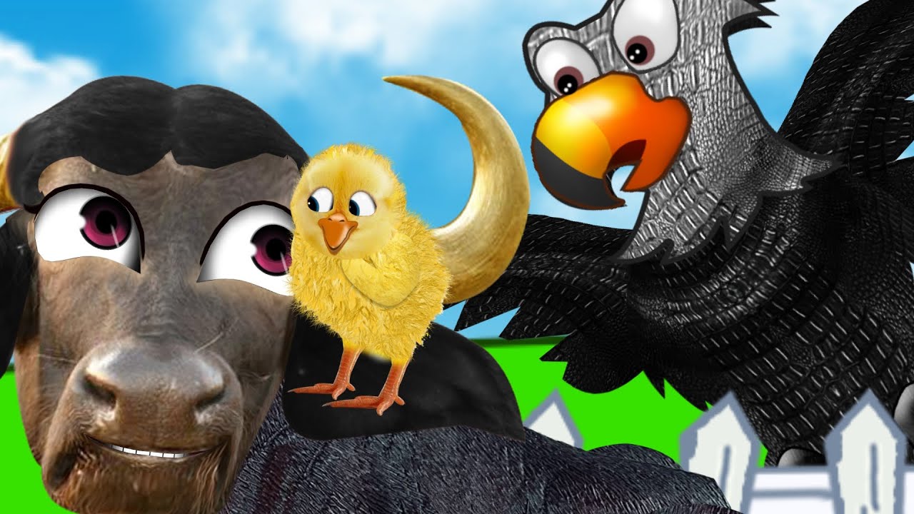 BOI DA CARA PRETA & PINTINHO AMARELINHO 🐥🐂| MÚSICA INFANTIL | CANÇÕES DE NINAR 😴💤| NURSERY RHYMES🎵🎵🎵