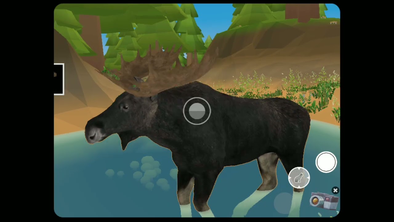 4D Kid Explorer Animals , ukazka hry