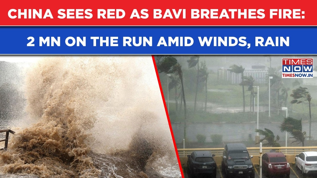 China Sees Red As Typhoon Bavi Brings Strong Winds, Rains| 2MN Evacuated Amid Chaos, Snake Scare