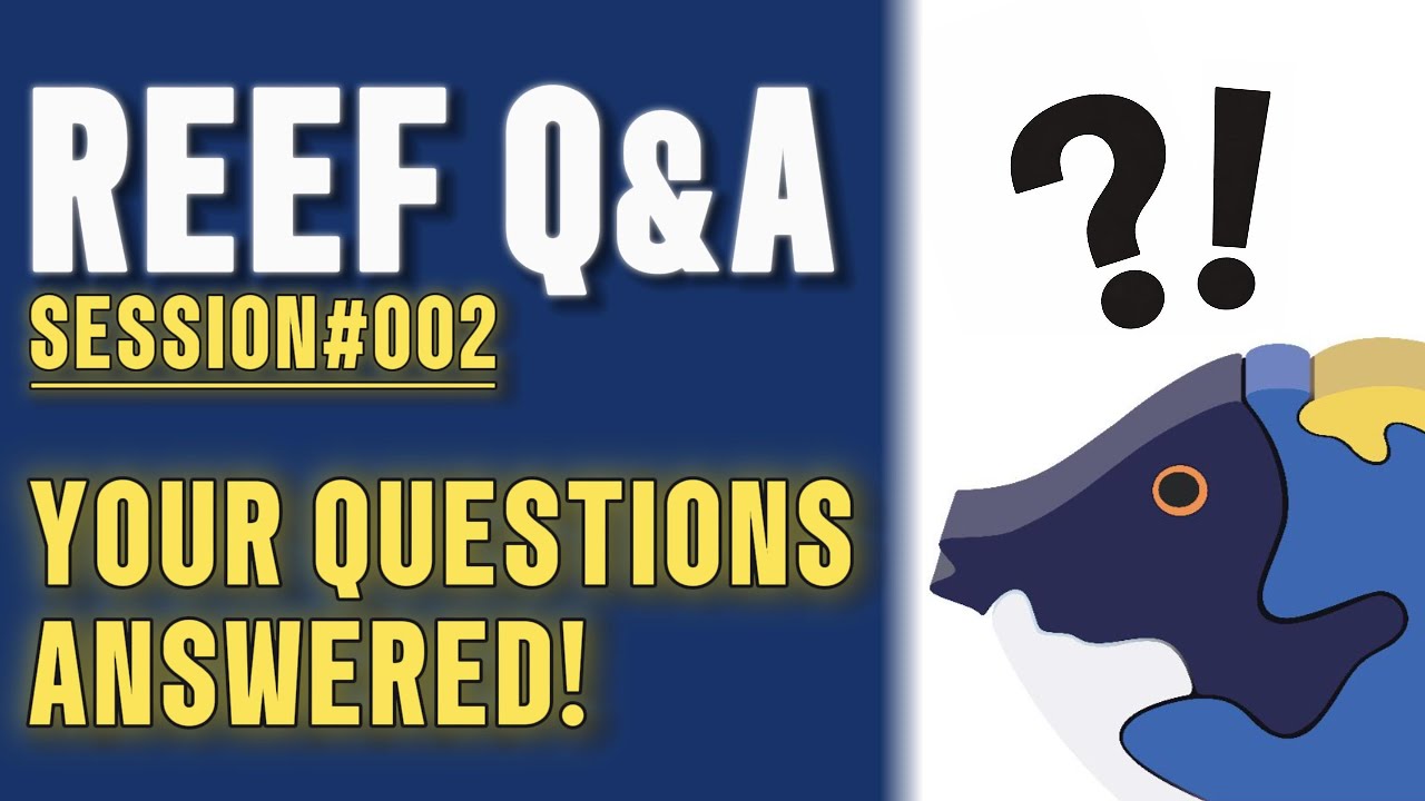 Leonardo's Reef | Reef Q&A | Session #002