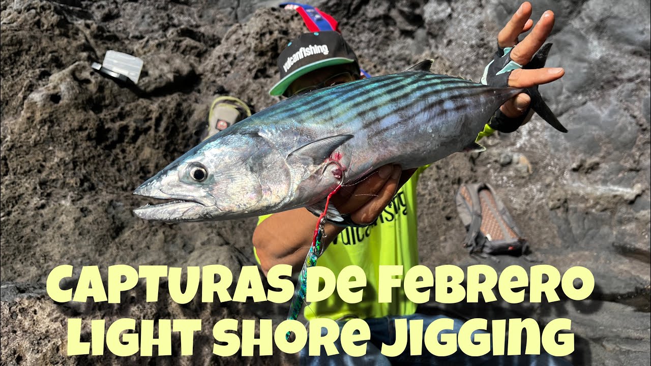 CAPTURAS de Febrero Light SHORE jigging