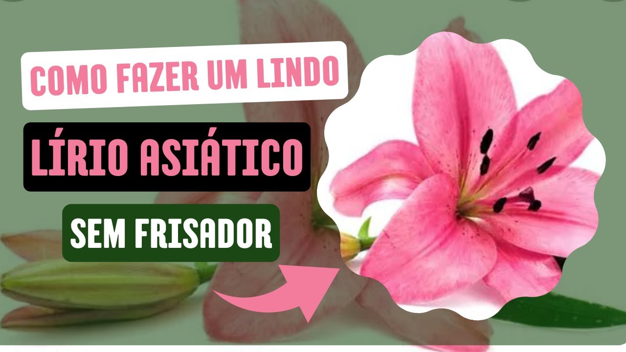 Como fazer Lírio Asiático em EVA sem Frisador