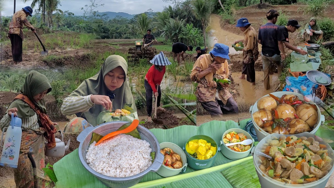 Demi Apapun EMANG PALING NIKMAT MAKAN BRENG DI SAWAH, TELUR REBUS SAUS TIRAM, Krecek Empet, Opor
