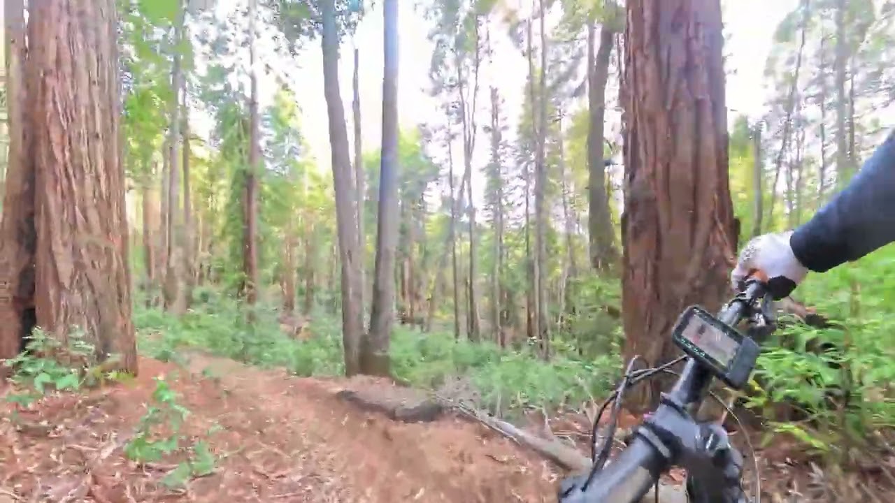 Angwin: Blue Post MTB trail (January 2026)
