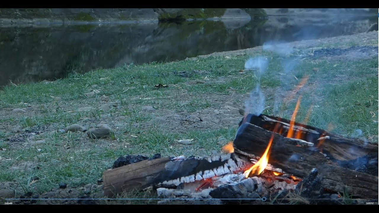 Canungra Showgrounds - Quality Bush Camping with Facilities - by Fozzie