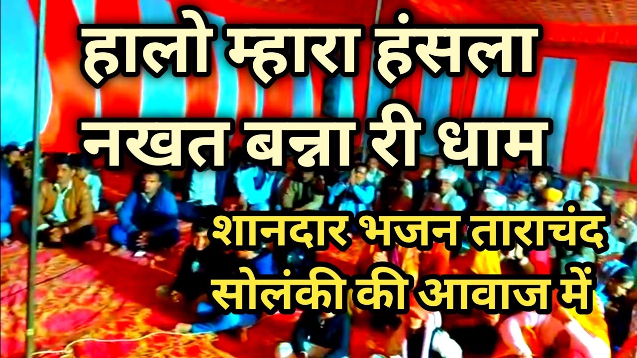 Tarachand Solanki॥ हालो म्हारा हंसला ॥ mhara hansla re ॥ ताराचंद सोलंकी ॥