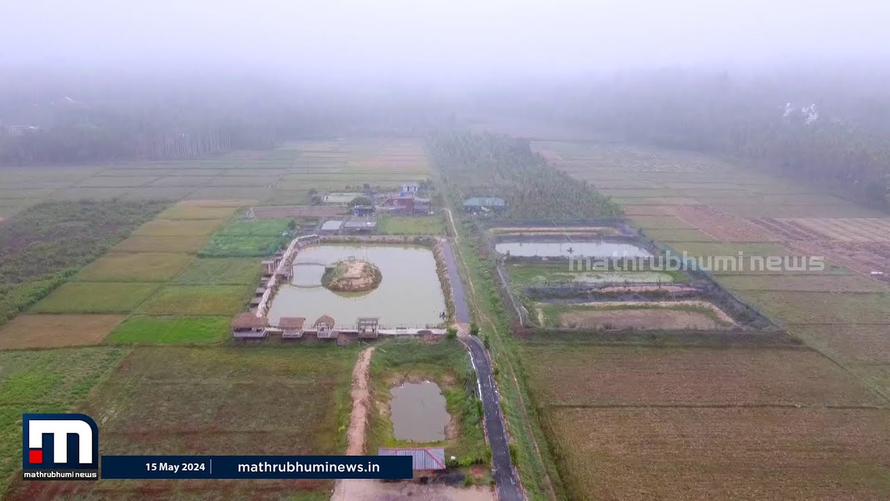 തണുത്ത വയനാടൻ കാറ്റേറ്റ് മീൻ പിടിക്കാൻ പോയാലോ? പാടി വില്ലേജിലെ വിശേഷങ്ങൾ.. | Wayanad