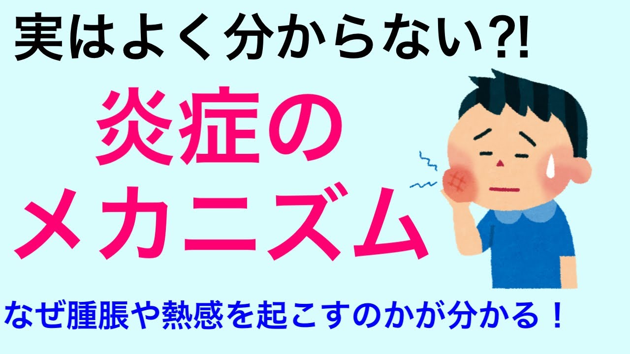 【知ってるようで知らない】炎症の仕組みについて解説