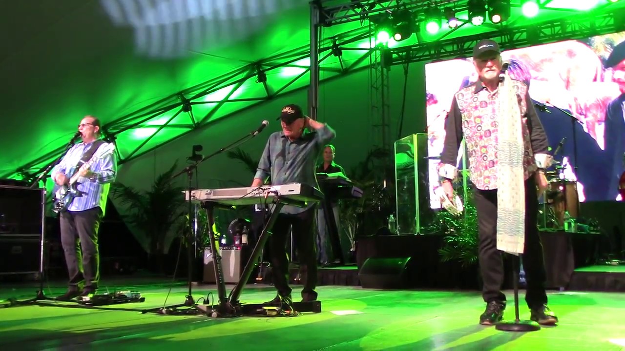 The Beach Boys (LIVE)--Wouldn't It Be Nice?--2017 Fishers, Indiana