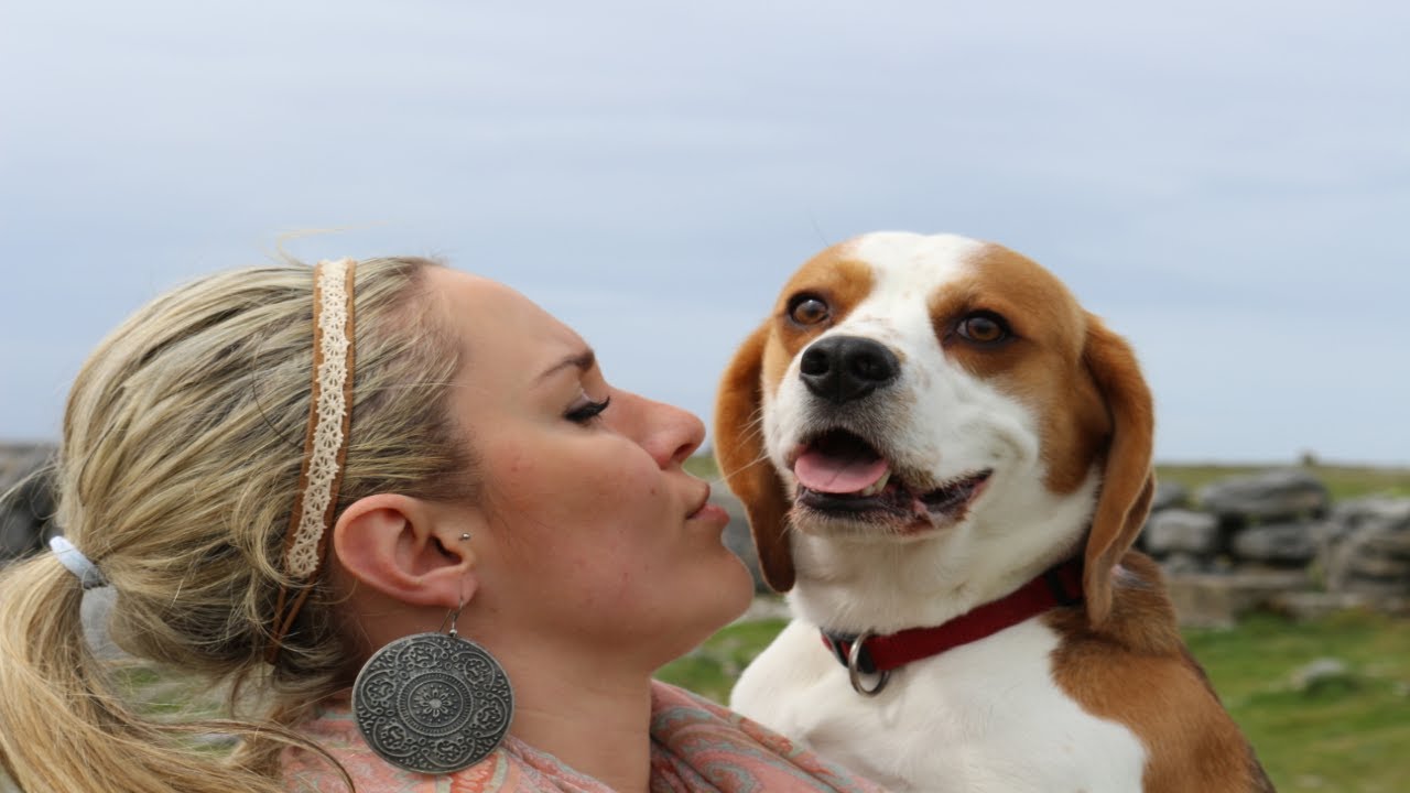 Life with a Dog is Full of Love: Charlie the Beagle, From Puppy to Five Years Old!