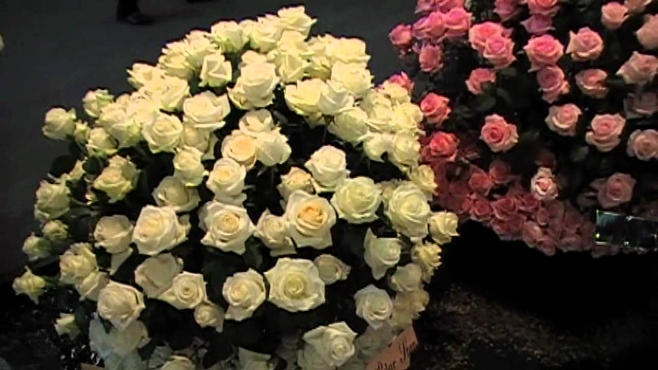 The Elite Flower
