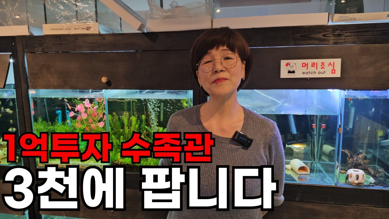 [구해줘물즈]30평 신도시 목좋은 수족관을 떨이하는 안타까운 이유..(눈물샘 주의)