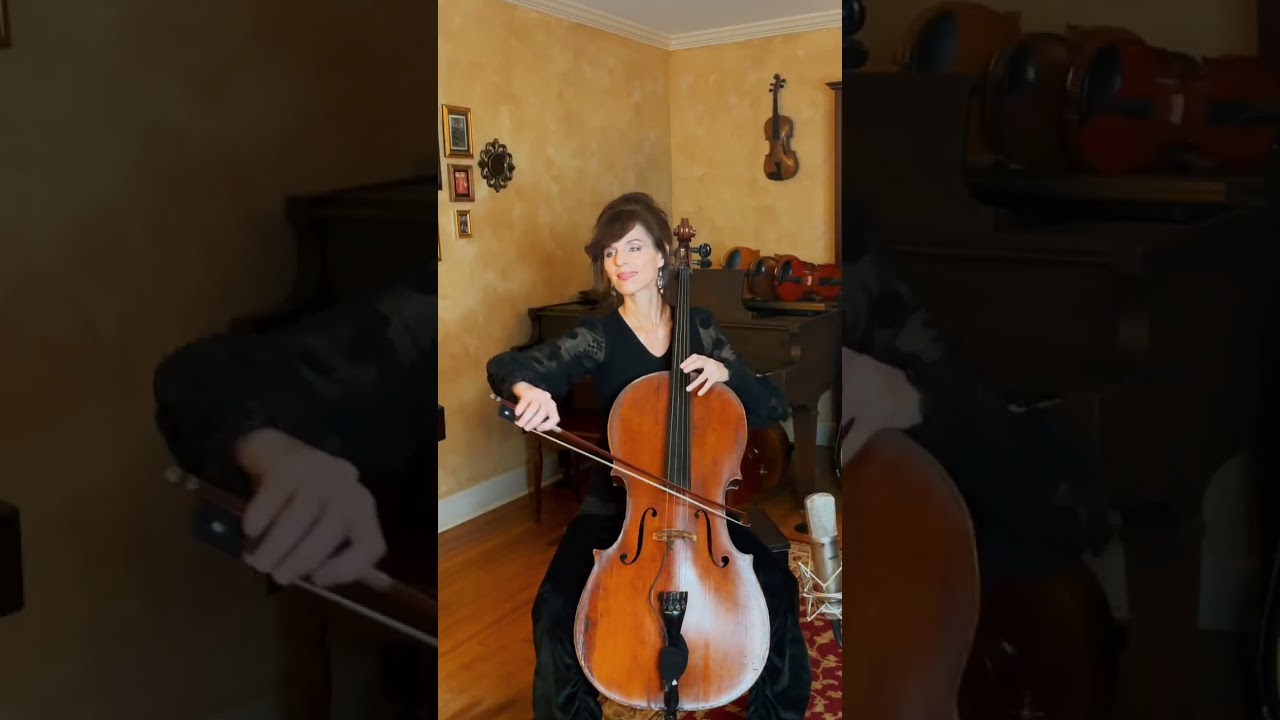 When You Say Nothing At All - Cello Cover