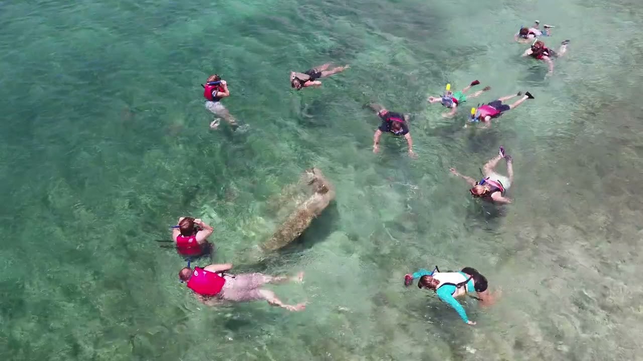 Mangrove Lagoon Marine Reserve, St. Thomas, VI
