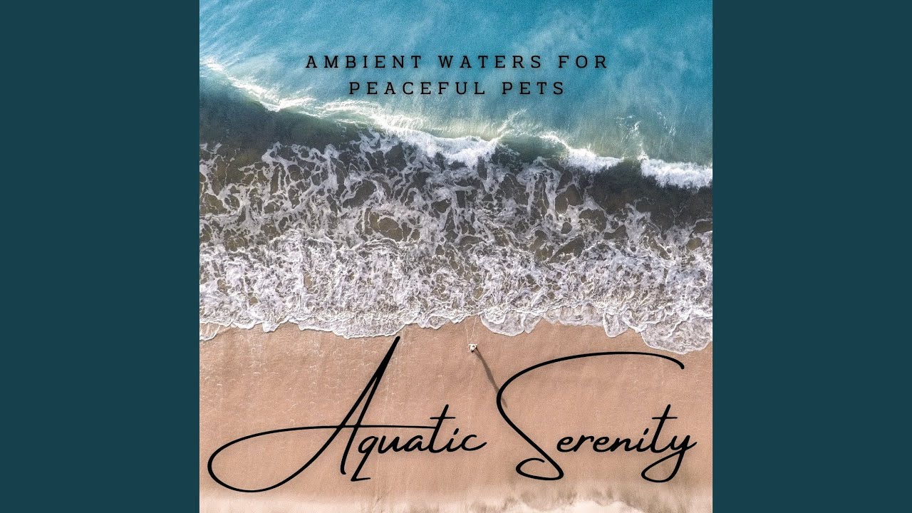 Reflective Waters of Pet Calm