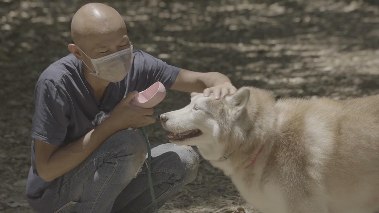 我的寵物微電影@Pet Knots (足本16分鐘大洋蔥版本)