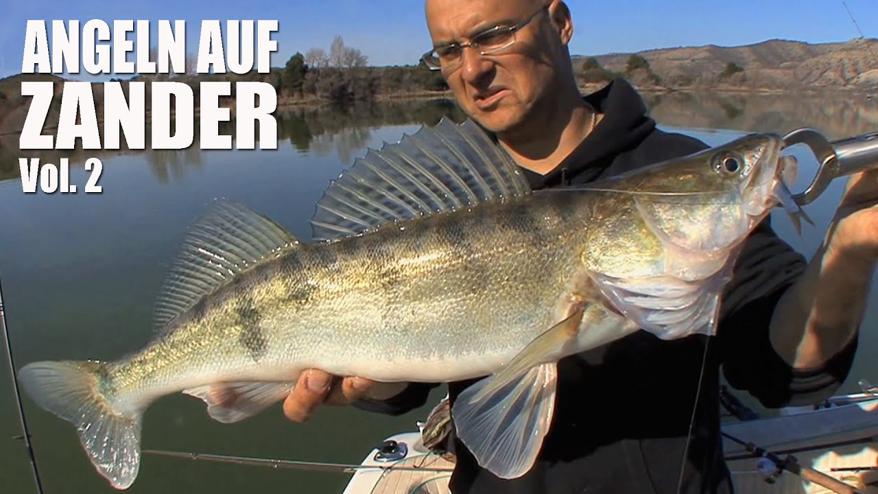 (HD) Angeln auf Zander (2)