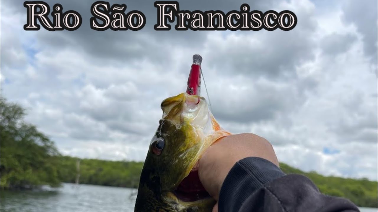 Acampando e pescando 