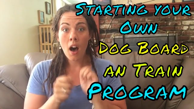 Guide to starting your own dog board and train program